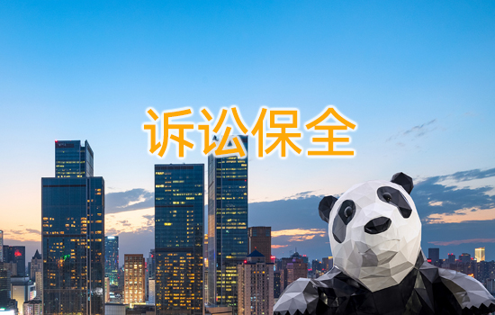 訴訟保全